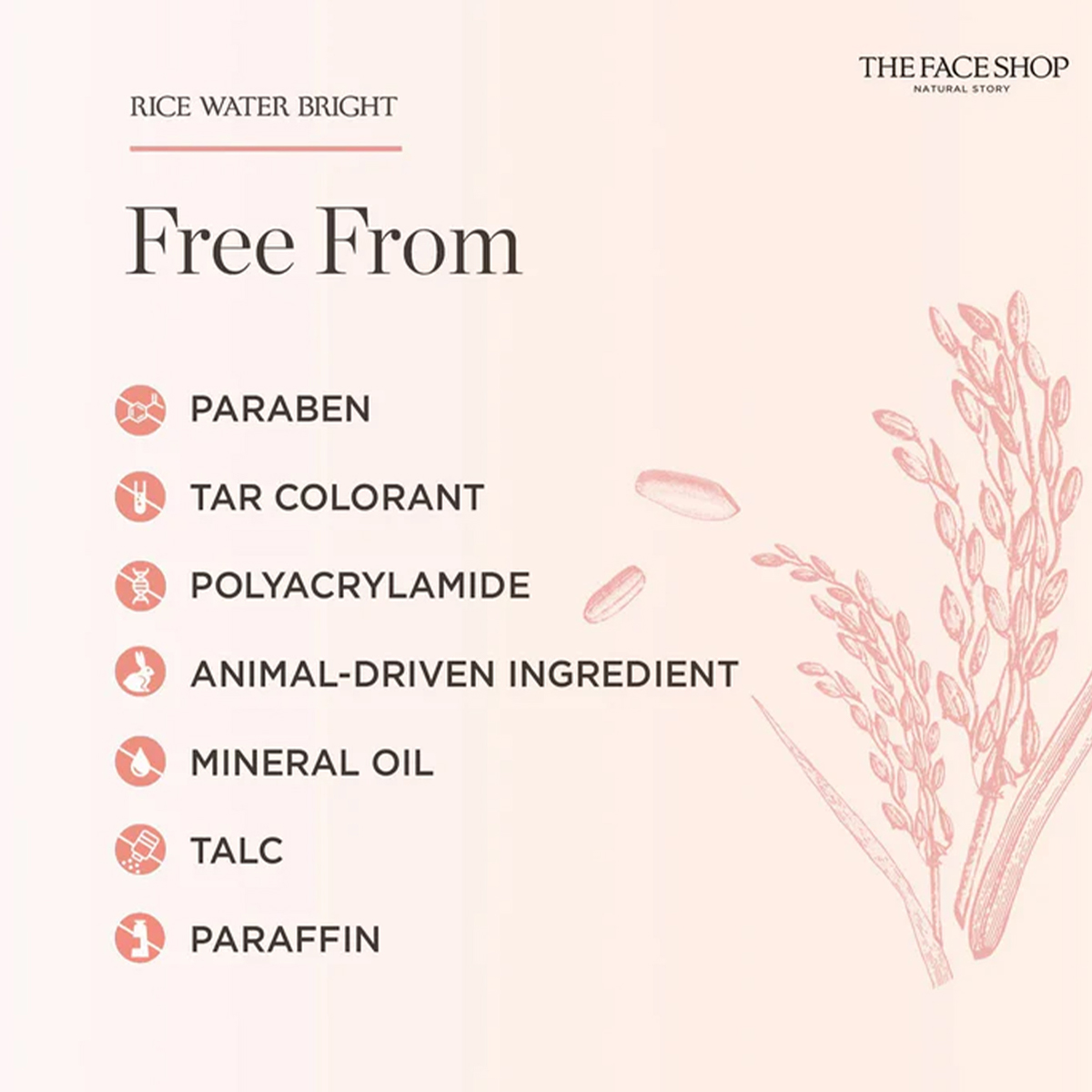 ザ・フェイスショップ ライスウォーター ブライト フェイス  - High Luxury Skincare のレビューと価格